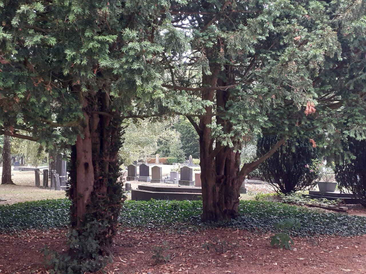 Oude Begraafplaats Zutphen algemene begraafplaats begraven afscheid nemen uitvaart Zutphen