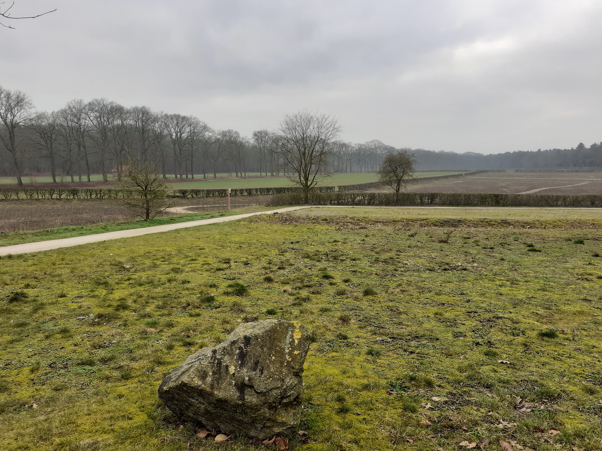natuurbegraafplaats koningsakker natuurbegraven duurzaam milieuvriendelijk begraven begraafplaats