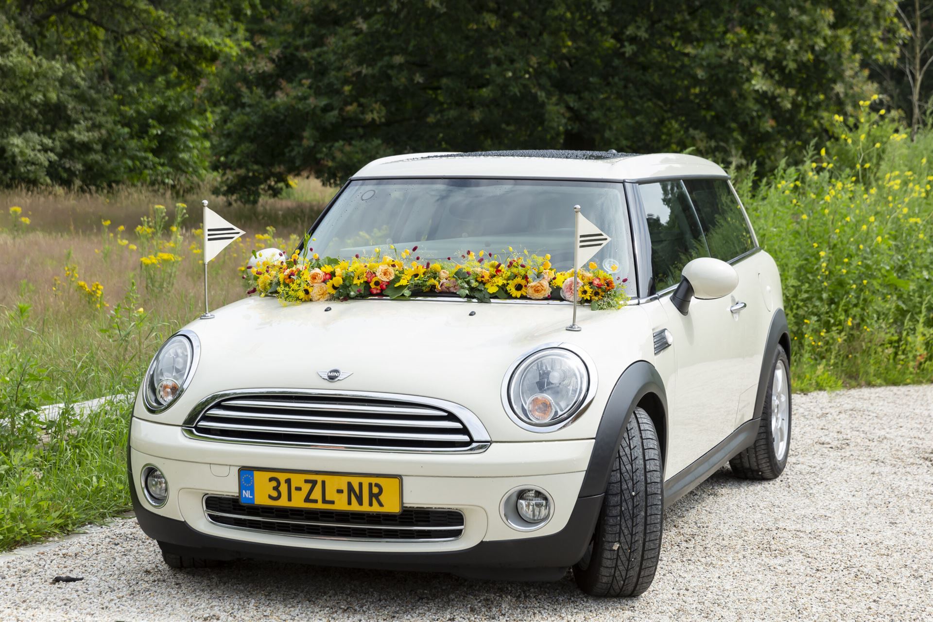 Bijzondere rouwauto's kinderrouwauto mini witte rouwauto lijkwagen rouwwagen vervoer overledene